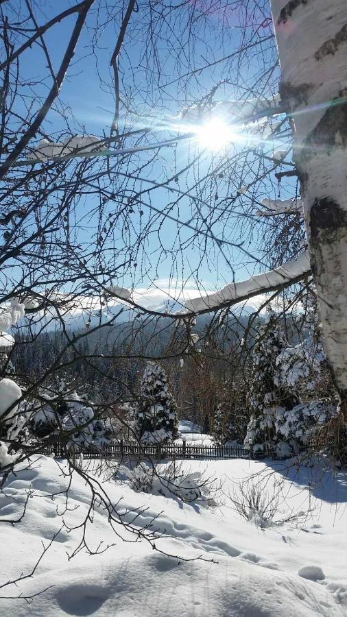 Jasmin Appartement Bukowina Tatrzańska Buitenkant foto